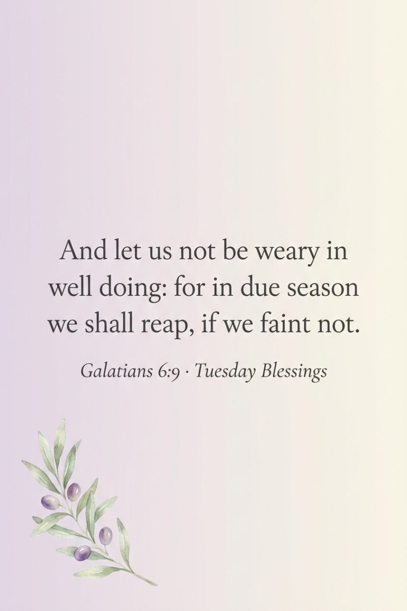 Tuesday blessing Bible verse Galatians 6:9.